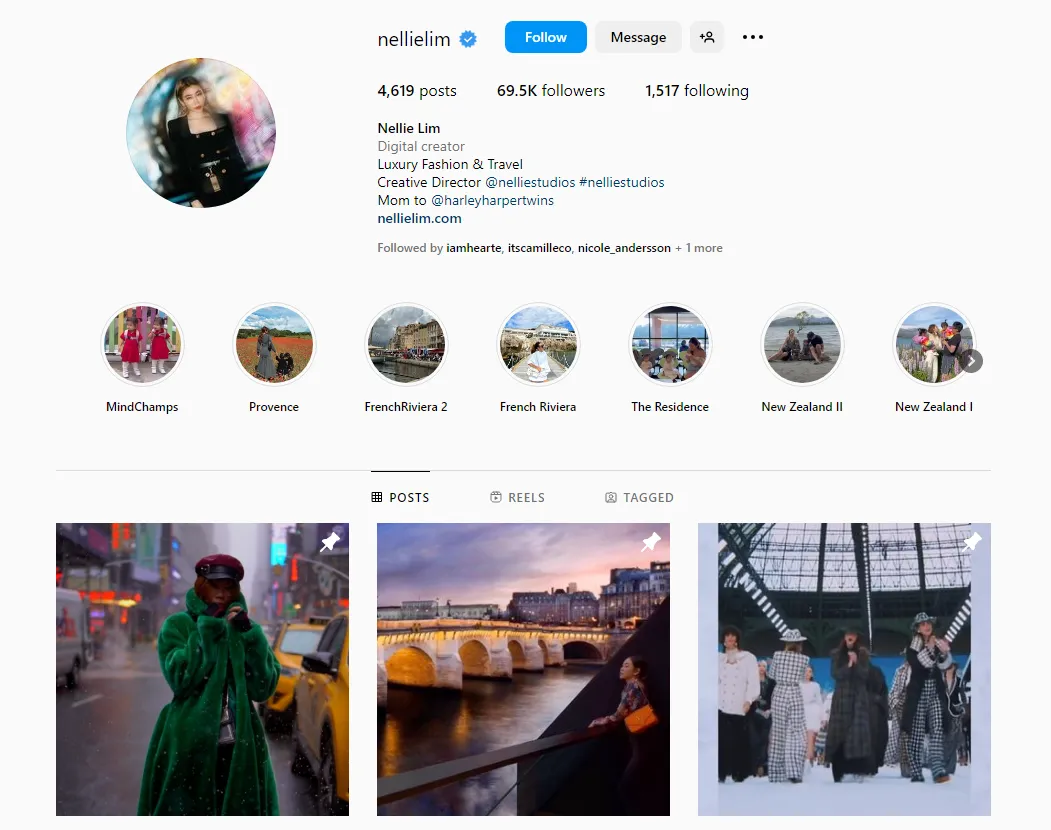 Screenshot: Nellie Lim – @nellielim