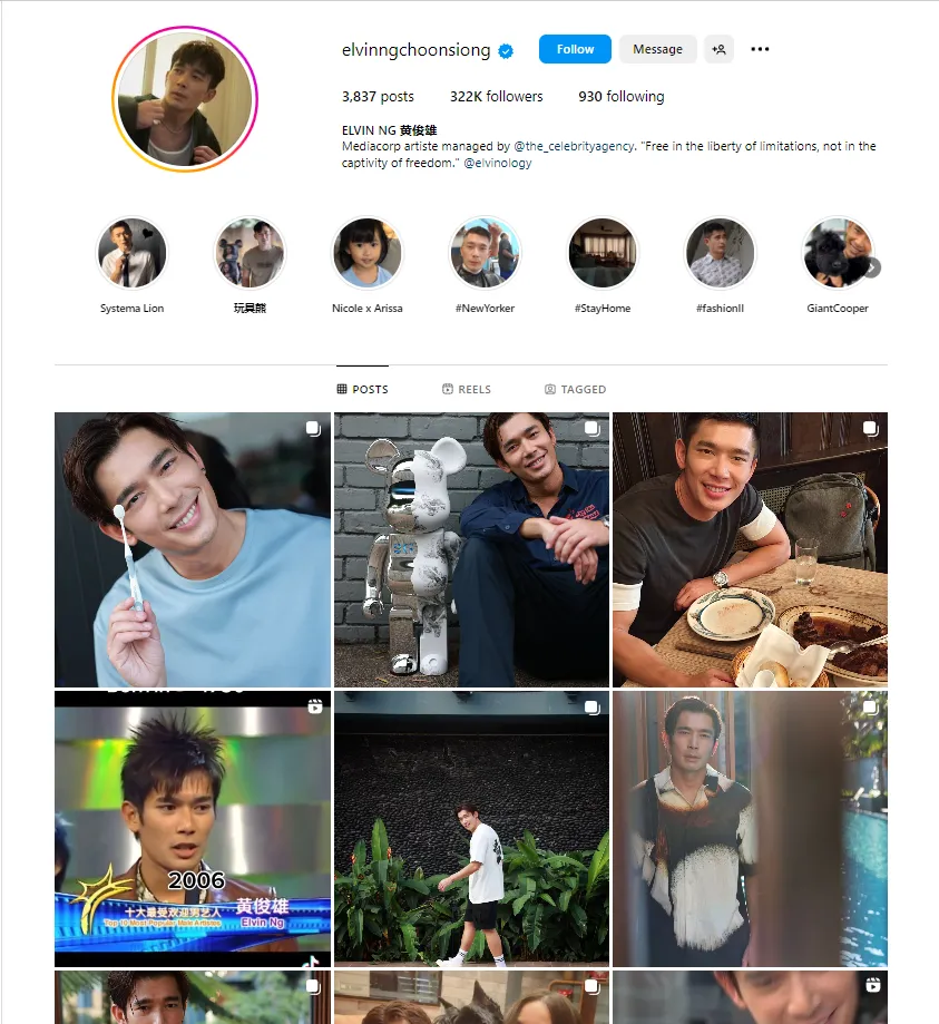 Screenshot: @elvinngchoonsiong | 355k followers