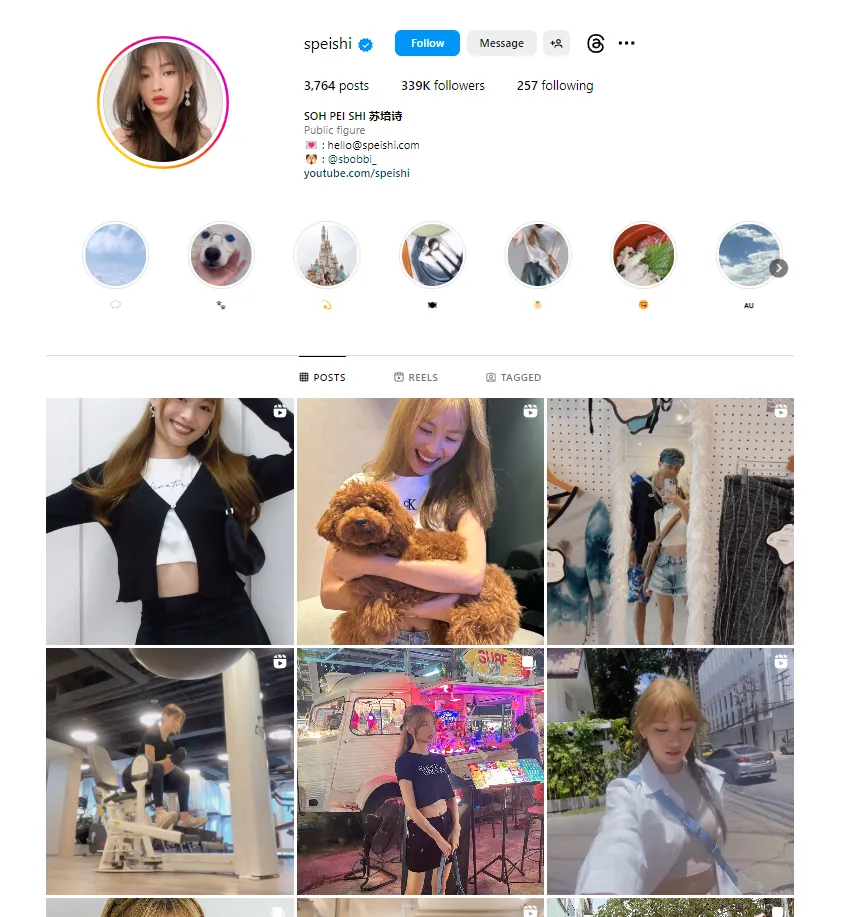 Screenshot: @speishi | 339k followers